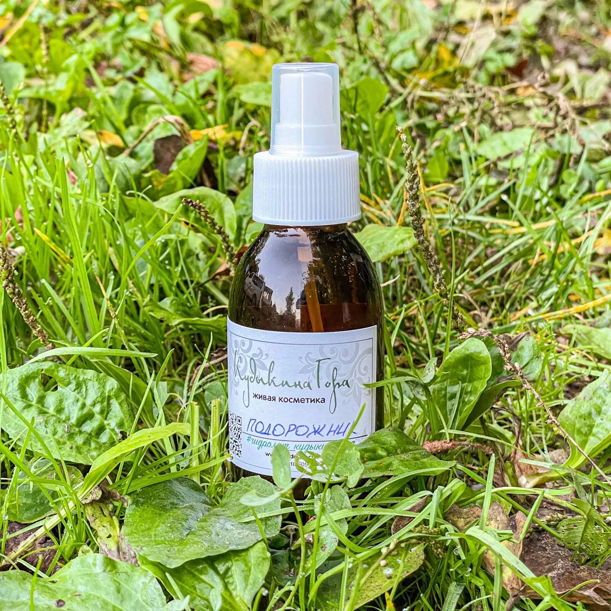 Подорожник. Гидролат.