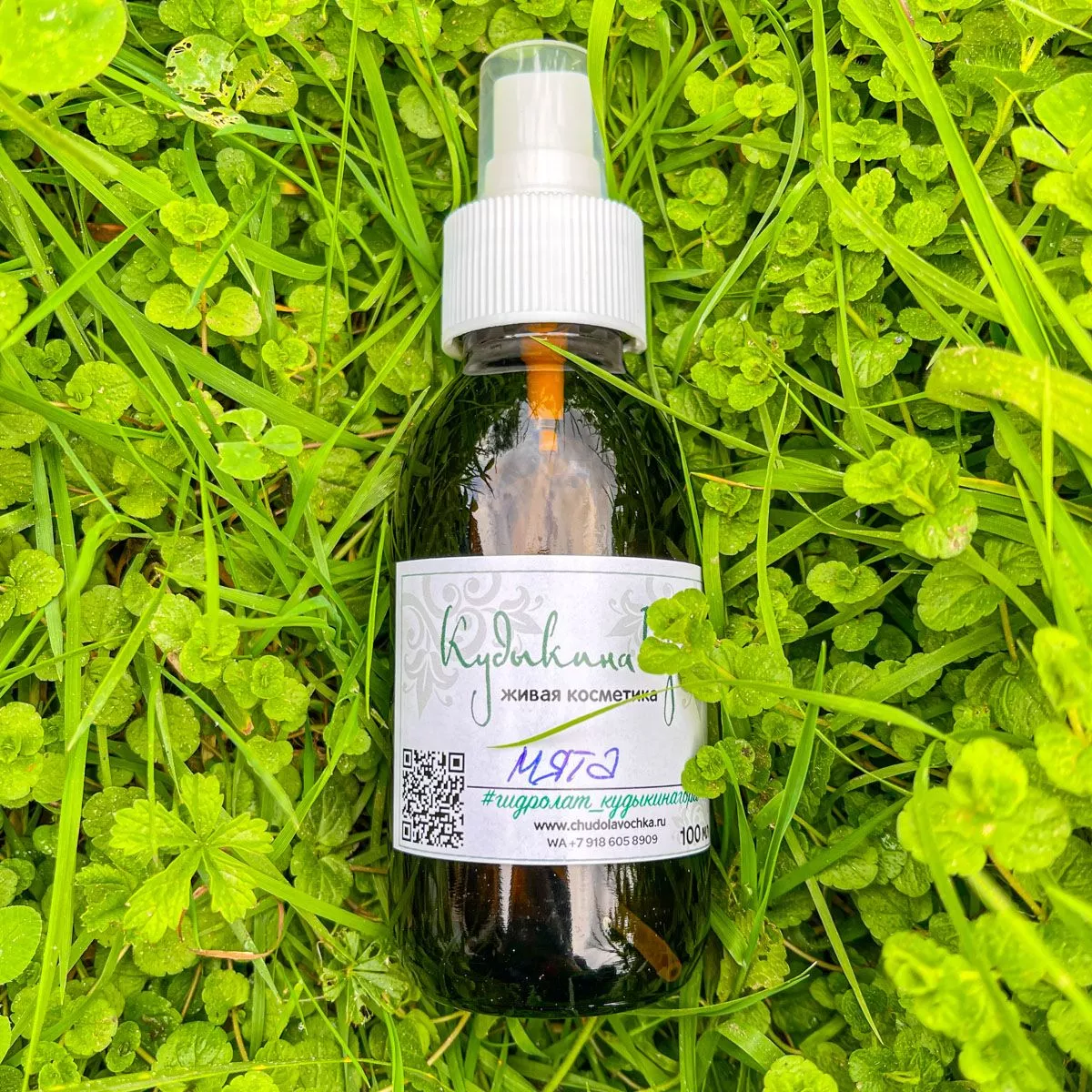 Мята. Гидролат.