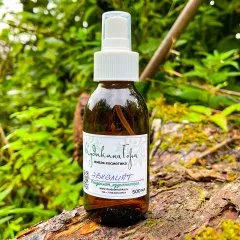 Эвкалипт. Гидролат.